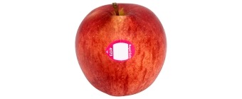 Royal Gala Apple