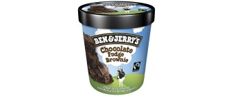 Ben & Jerry's Chocolate Fudge Brownie (500 Millilitre)