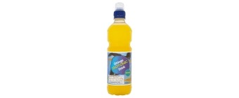 Centra Isotonic Orange 500mls