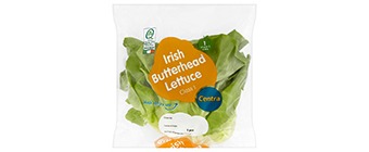Centra Butterhead Lettuce  (1 Piece)