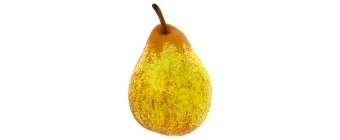 Pear