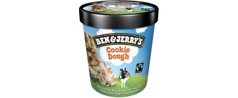 Ben & Jerry Choc Chip Cookie Dough (500 Millilitre)