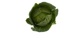 Centra York Cabbage 1pce