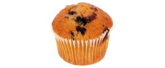 Blueberry Muffin